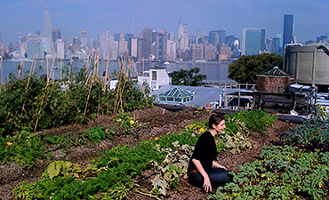 urban farm new york-riattiwa-ta davide ruzzon